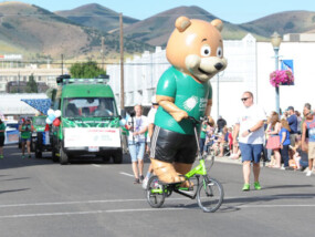 ICCU Sharebear Mascot riding a bike in the 4th of July Parade.