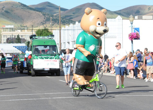 ICCU Sharebear Mascot riding a bike in the 4th of July Parade.