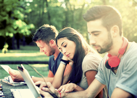 group of young adults studying outdoors