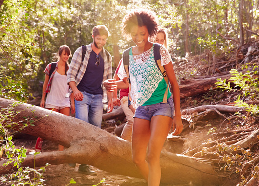 Group Of Friends Jumping Over Tree Trunk On Countryside Walk