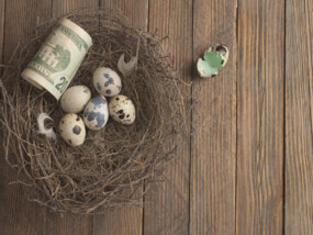 nest egg with money
