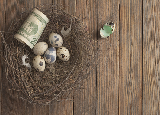 nest egg with money