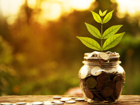 Tree growing out of jar with coins to symbolize growing savings