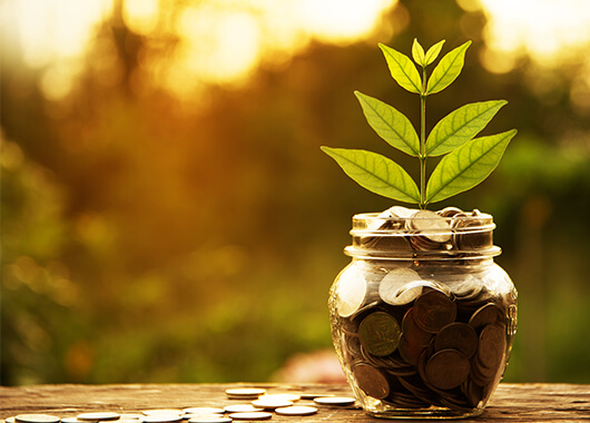 Tree growing out of jar with coins to symbolize growing savings