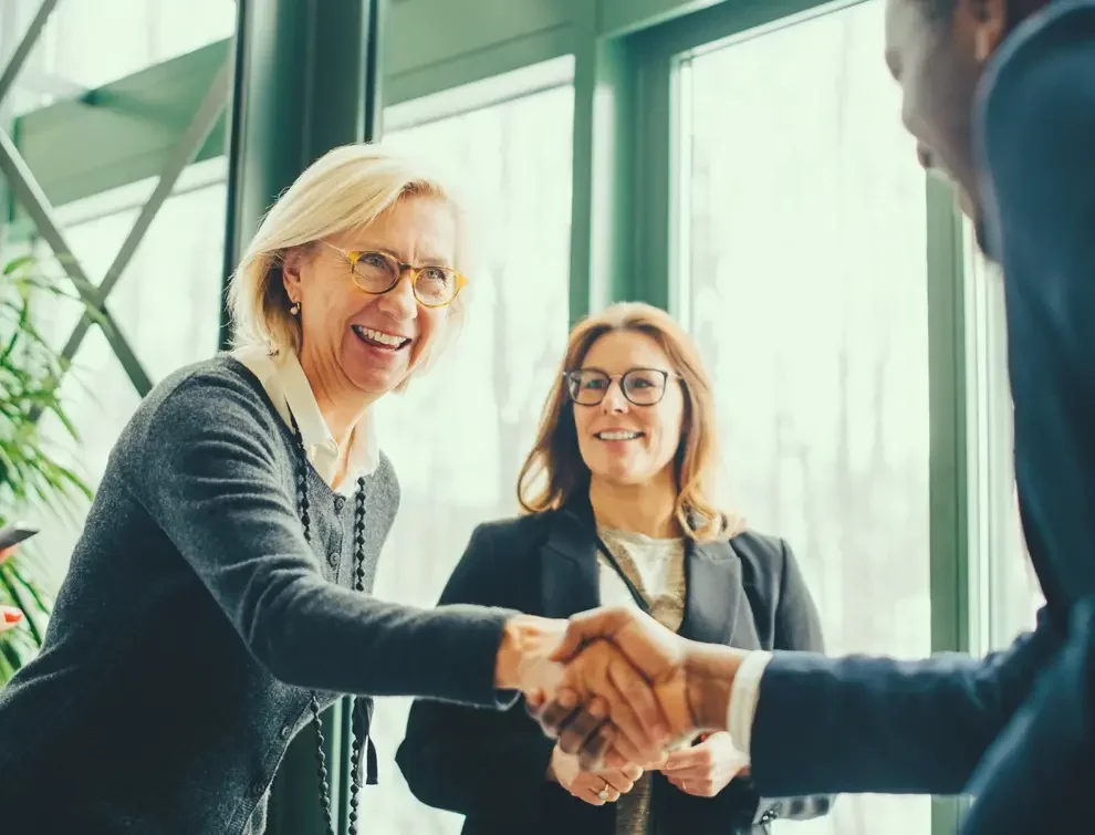 Professional business partners shaking hands