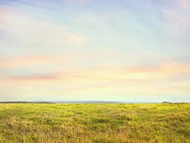 Open field at dusk