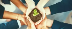 People holding a plant in dirt