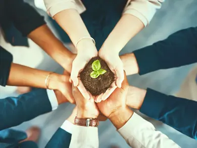 People holding a plant in dirt