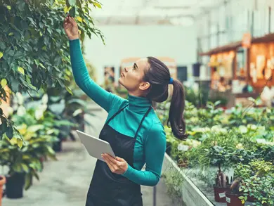 Women checking plants at work