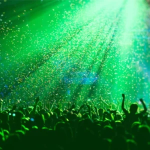 People at a concert